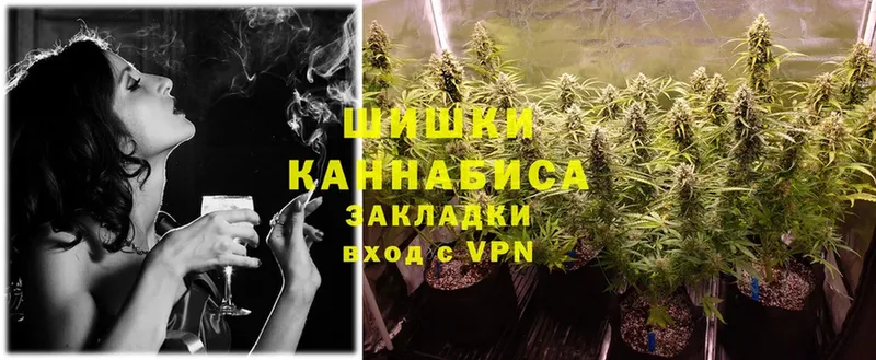 цена   Благодарный  Конопля OG Kush 